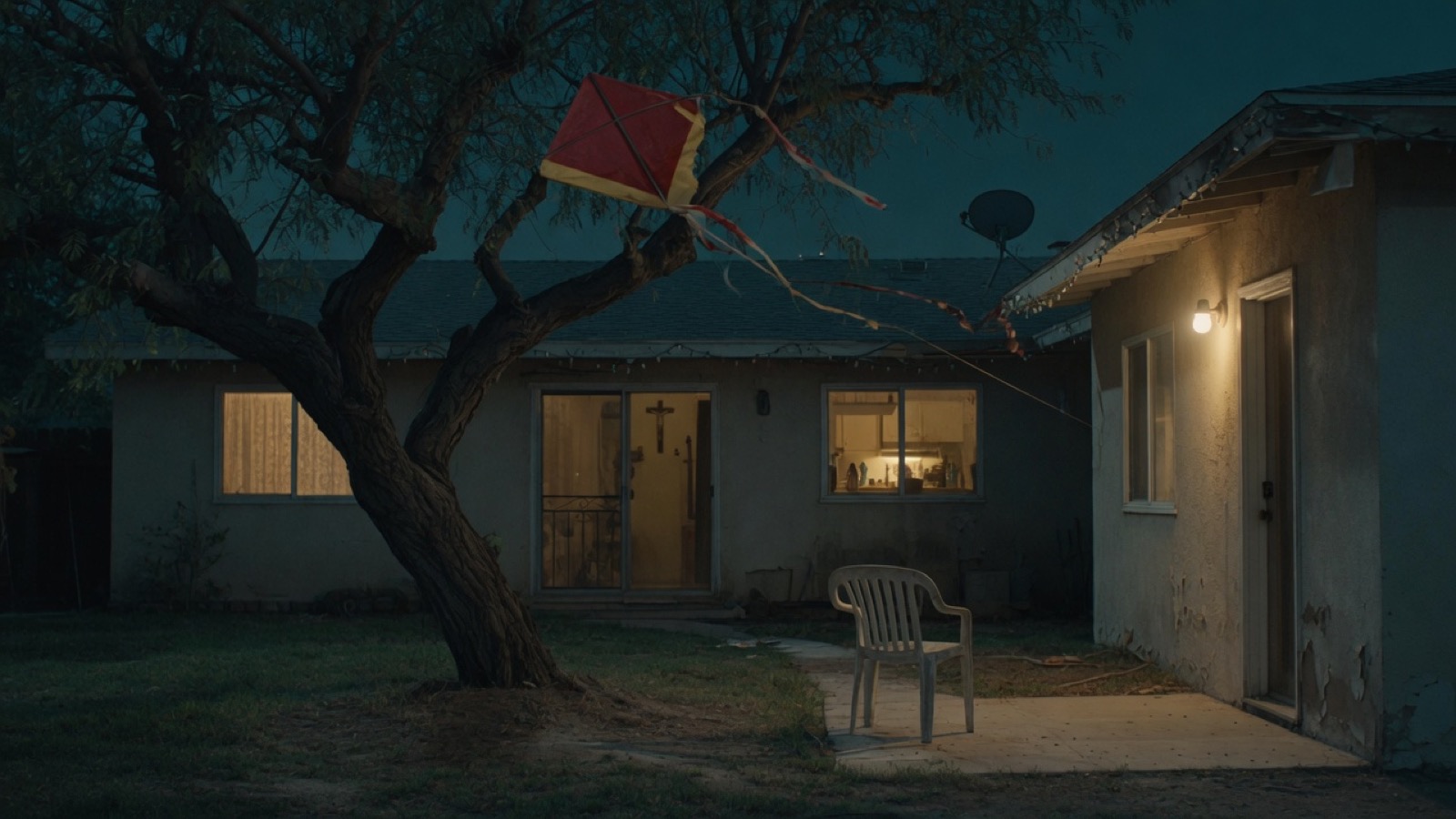 The garden — broken kite in the tamarind tree